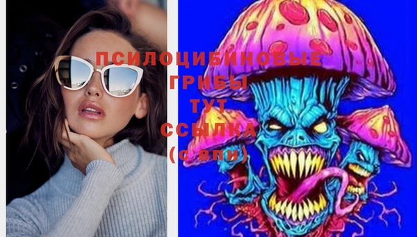 МДМА Протвино