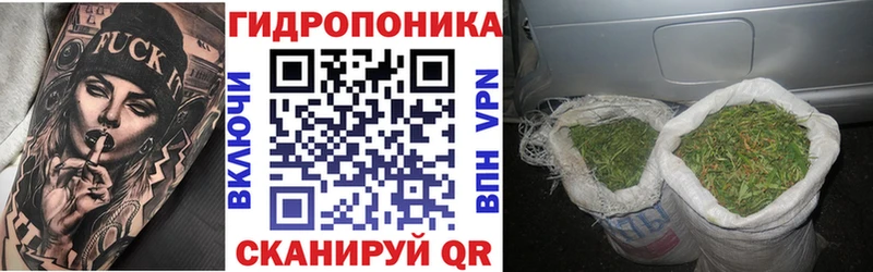 Шишки марихуана тримм  цены   Бутурлиновка 